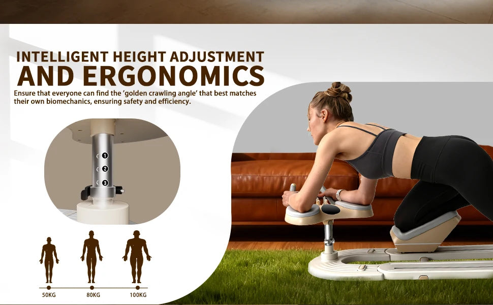 Spine Twist And Stretch Trainer Low Impact Home Gym Equipment