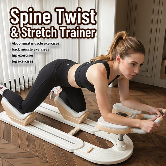 Spine Twist And Stretch Trainer Low Impact Home Gym Equipment