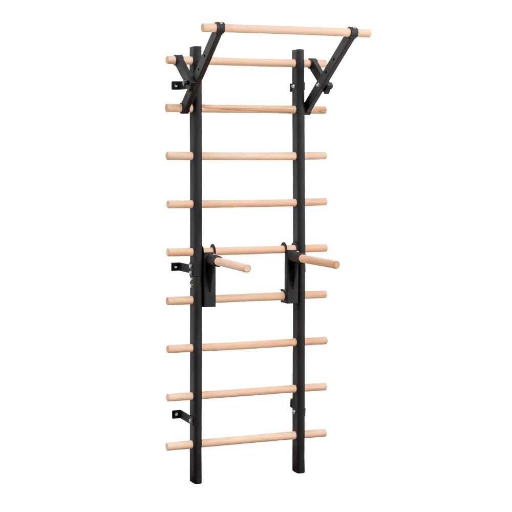 Wall Mounted Swedish Ladder Stall Bar With Adjustable Training Attachments